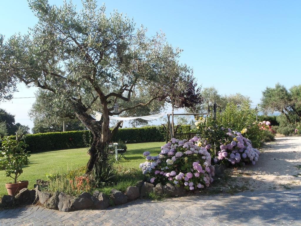Il Poggio Degli Ulivi Trevignano Romano Quarto foto