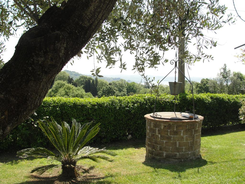 Il Poggio Degli Ulivi Trevignano Romano Quarto foto