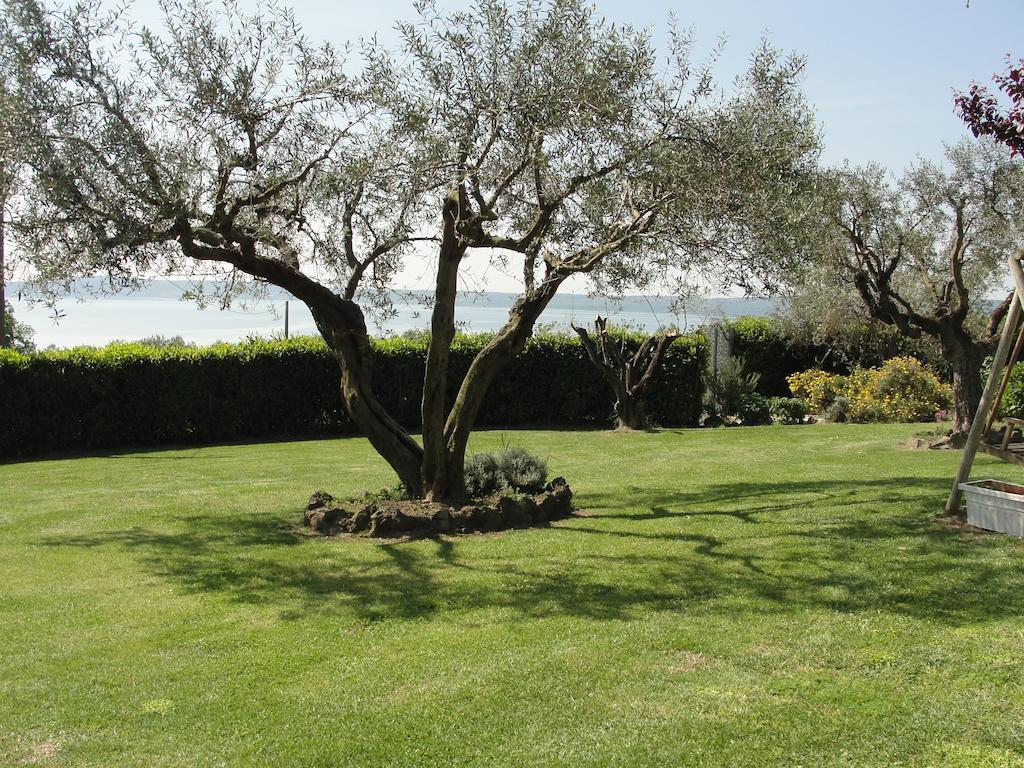 Il Poggio Degli Ulivi Trevignano Romano Quarto foto
