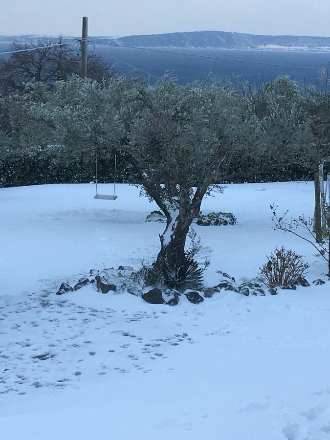 Il Poggio Degli Ulivi Trevignano Romano Exterior foto