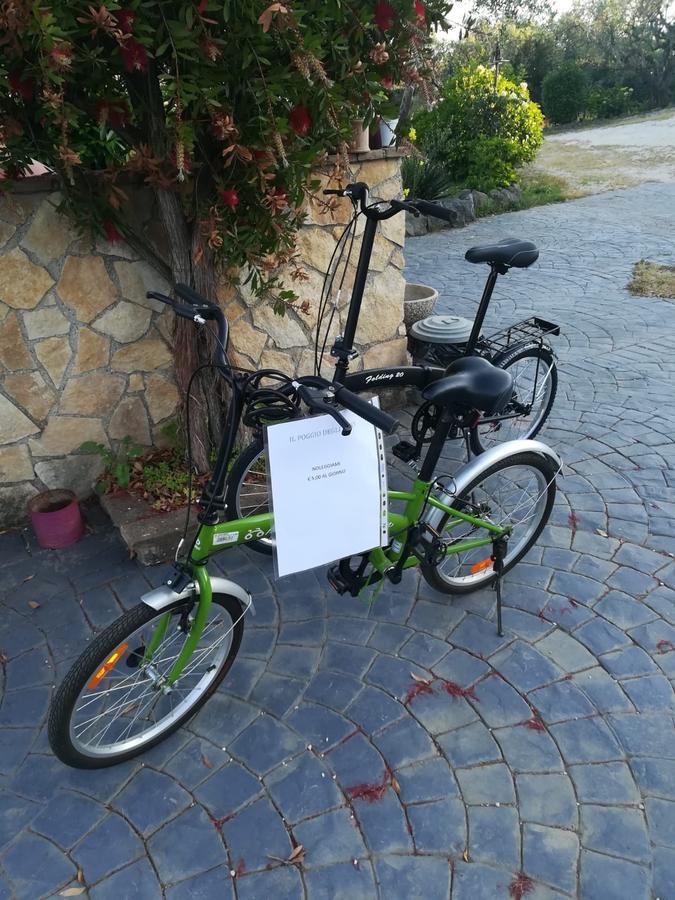 Il Poggio Degli Ulivi Trevignano Romano Exterior foto