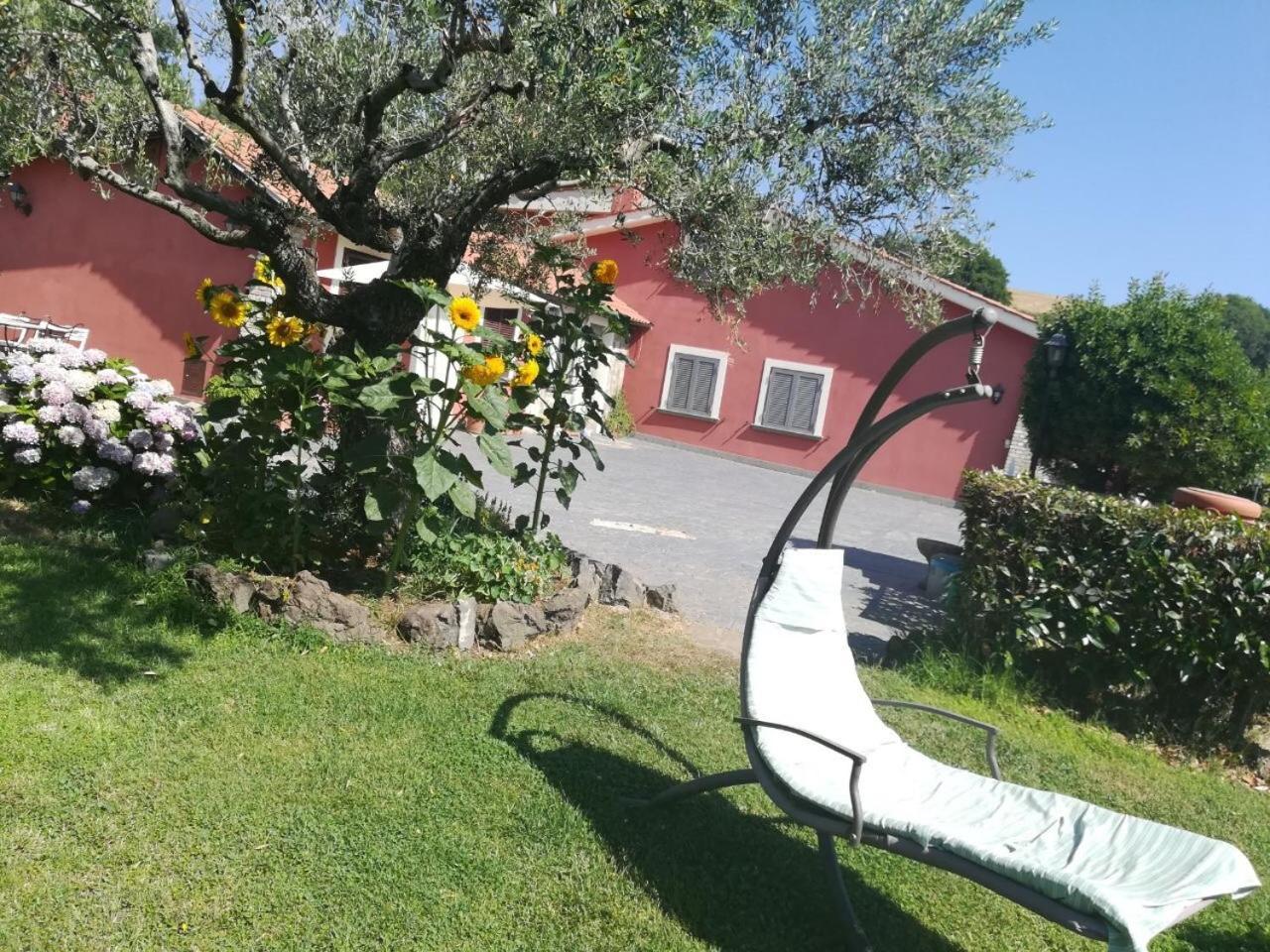Il Poggio Degli Ulivi Trevignano Romano Exterior foto