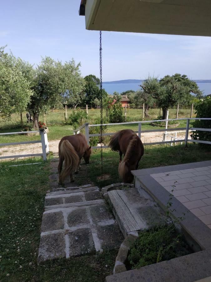 Il Poggio Degli Ulivi Trevignano Romano Exterior foto